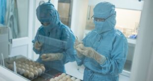 Bantuan Daging Ayam Dan Telur 2025