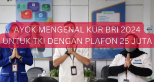 KUR BRI Tki 2025