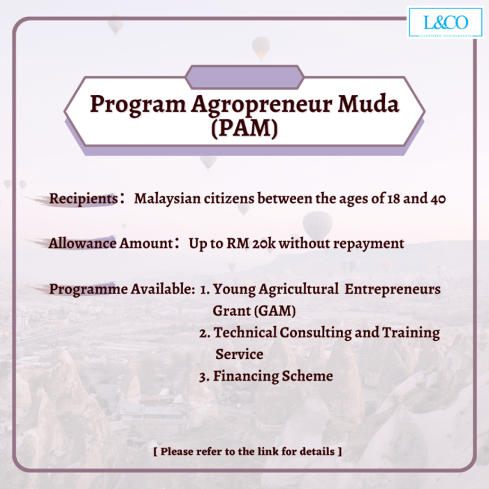 Formasi CPNS Tahun 2025