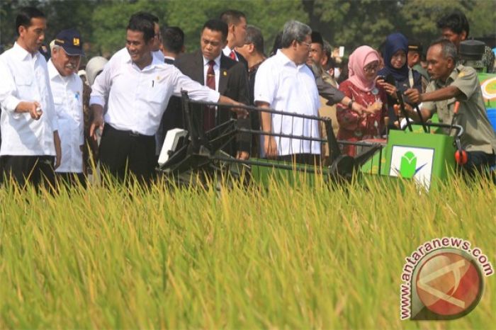 Kapan Bantuan Beras Cair 2025