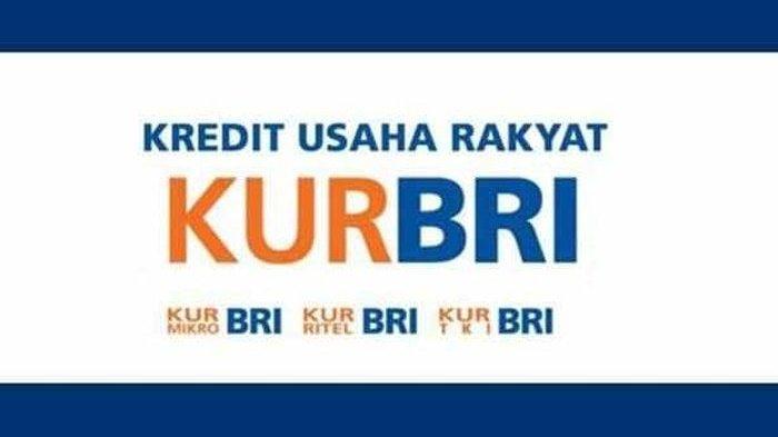 Kapan Pinjaman KUR BRI Dibuka Lagi Tahun 2025