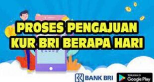 Bunga Non KUR BRI 2025