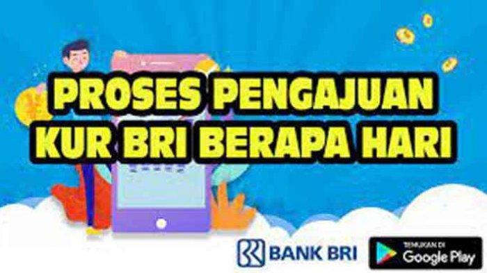 Angsuran KUR Bpd Diy 2025