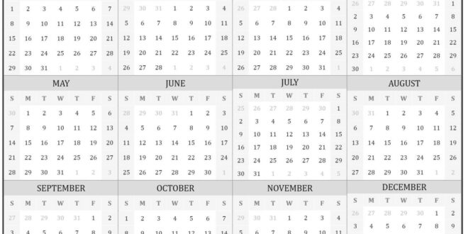 Info Mudik Gratis Tahun 2025