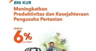 Persyaratan Pinjaman KUR BNI 2025