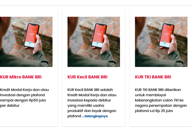KUR BRI 2025 Online