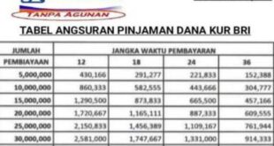 Tabel KUR BRI 20 Juta 2025