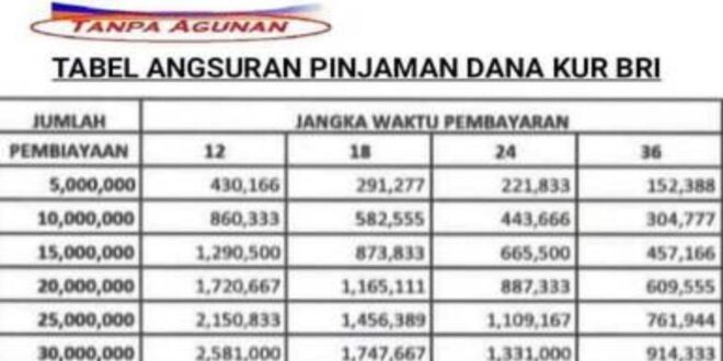 Tabel KUR BRI 20 Juta 2025
