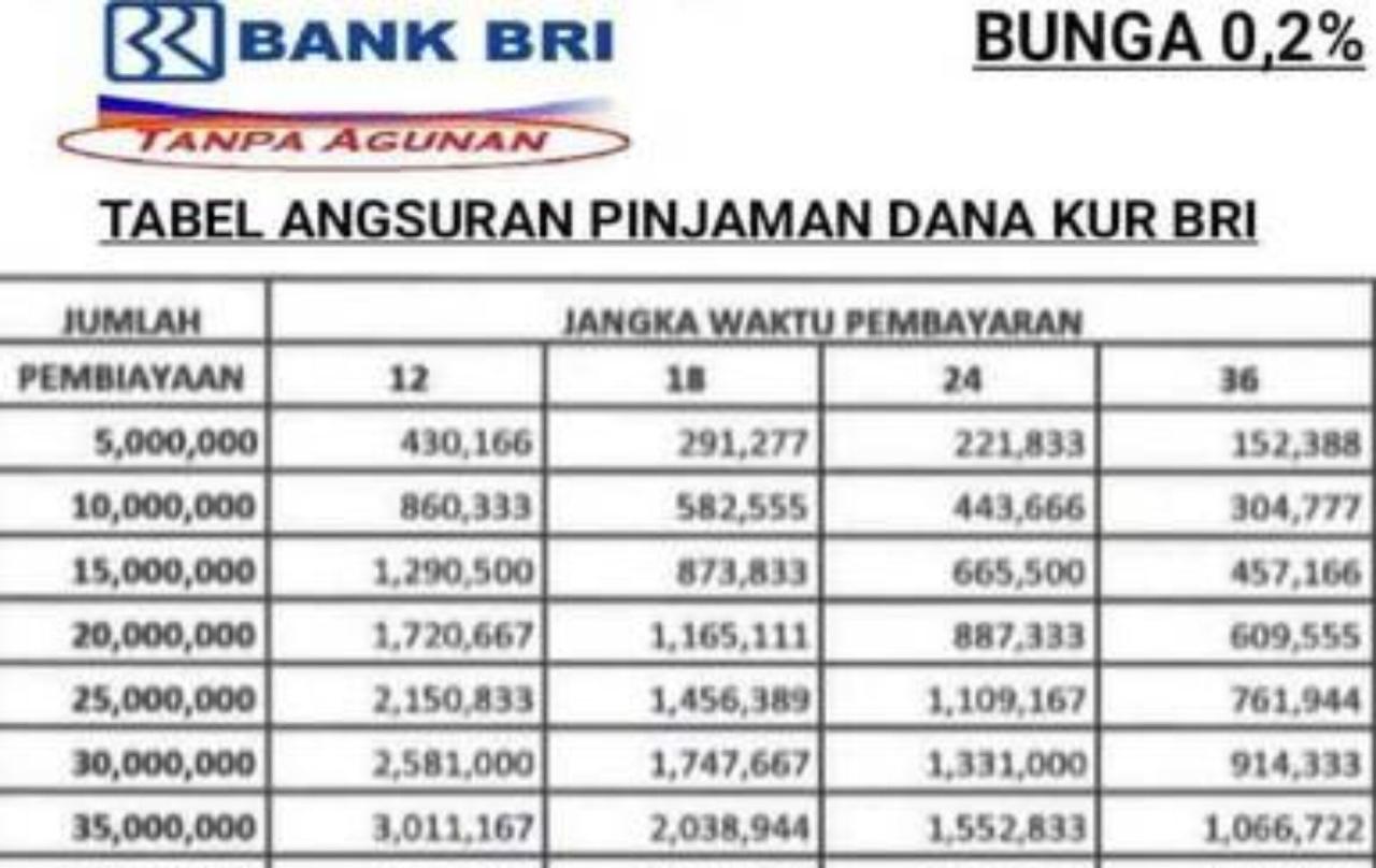Tabel KUR BRI 20 Juta 2025