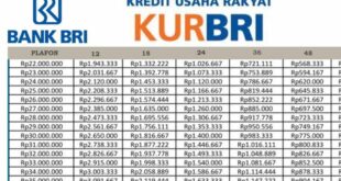 Tabel Angsuran KUR BRI 250 Juta 2025