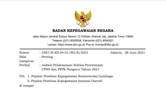 Hasil Seleksi Administrasi CPNS 2025