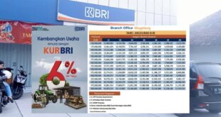 Setoran Bank BRI KUR 2025