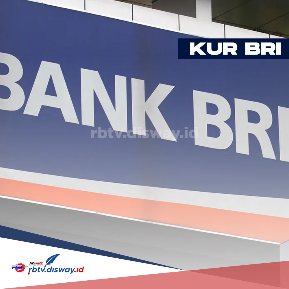 Bunga KUR BRI 100 Juta 2025