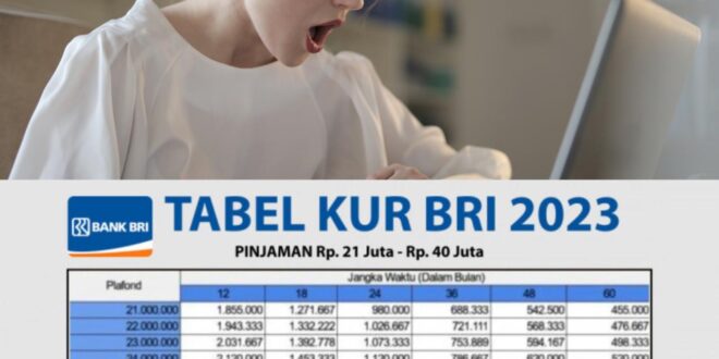 Angsuran KUR BRI 2025 25 Juta
