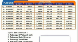 KUR BRI 2025 500