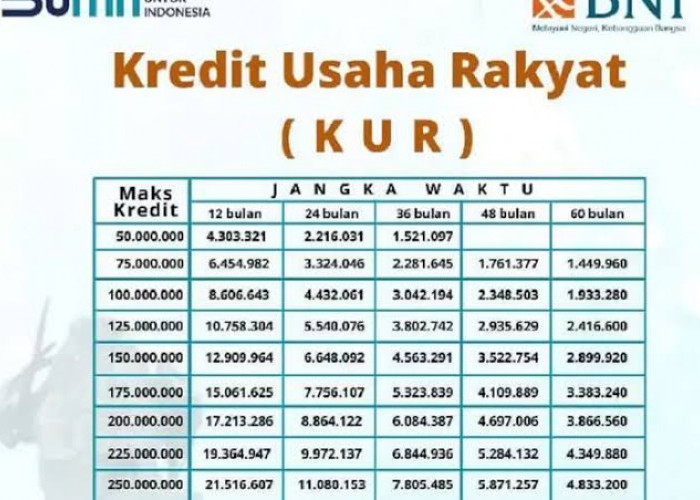 Apakah KUR 2025 Masih Ada