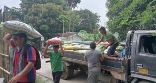 Kapan Bantuan Beras Cair 2025