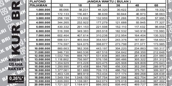 Batas Usia Maksimal Pinjaman KUR BRI 2025