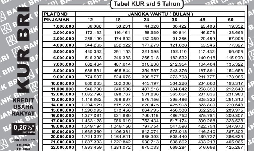 Batas Usia Maksimal Pinjaman KUR BRI 2025