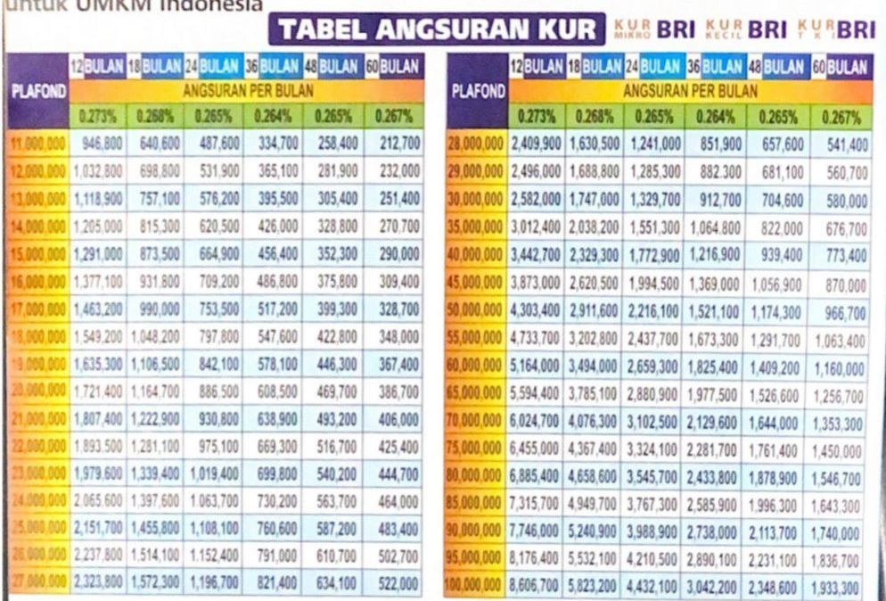 Bunga KUR BRI 2025 Berapa Persen