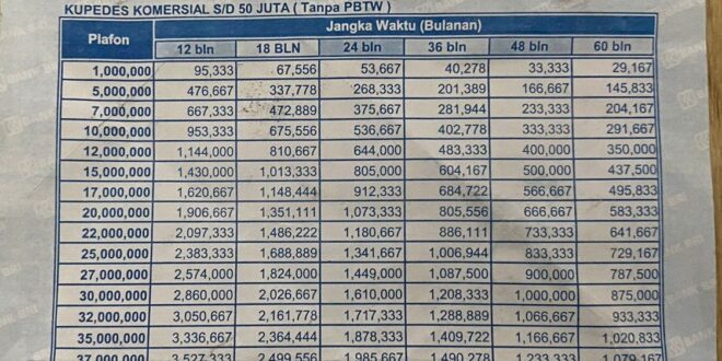 Tabel Pinjaman BRI Non KUR 2025 Terbaru