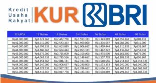 Dana KUR BRI Makassar 2025