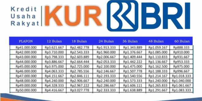 Dana KUR BRI Makassar 2025