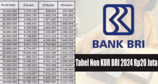 Tabel Pinjaman BRI 2025 Non KUR 300 Juta