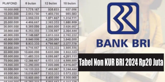 Tabel Pinjaman BRI 2025 Non KUR 300 Juta
