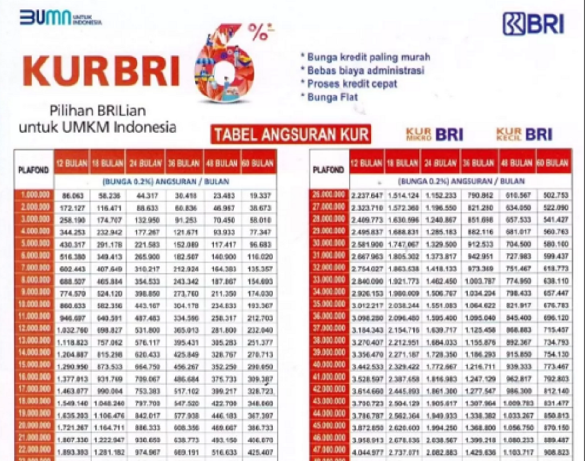 Daftar Pinjaman BRI KUR 2025