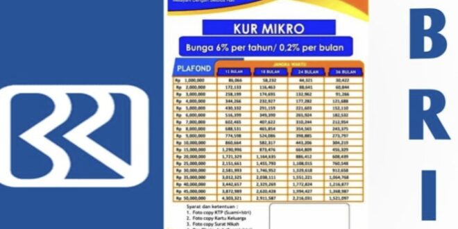 Angsuran KUR BRI 50 Juta 3 Tahun 2025