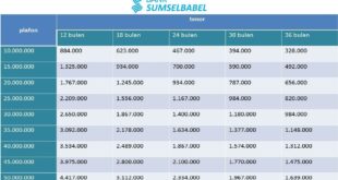 KUR Bank Sumsel Babel 2025 Kapan Dibuka