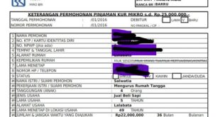 Brosur Pinjaman Bank BRI KUR 2025