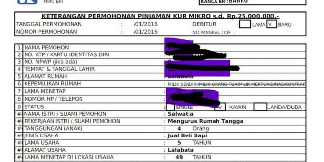 Brosur Pinjaman Bank BRI KUR 2025