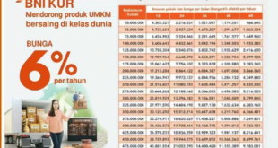 Tabel Pinjaman Non KUR BNI 2025