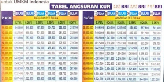 Syarat Pinjam KUR BRI 2025