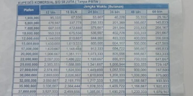 Tabel Angsuran BRI Non KUR 2025 10 Juta