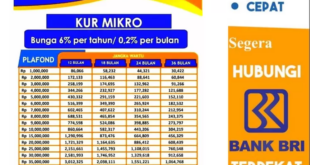 KUR BRI 2025 100juta