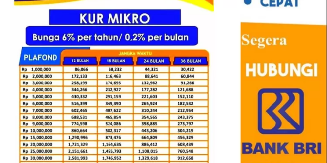 KUR BRI 2025 100juta
