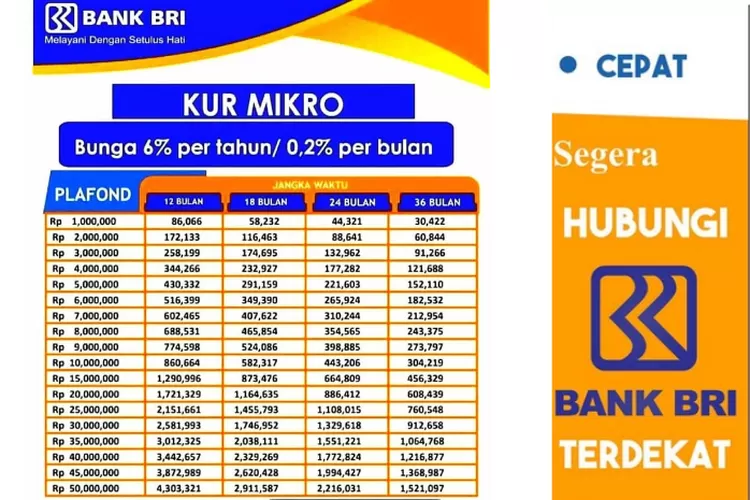 Dana KUR 2025 BRI