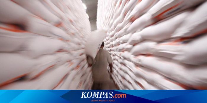 Bantuan Beras Bulog 10 Kg 2025