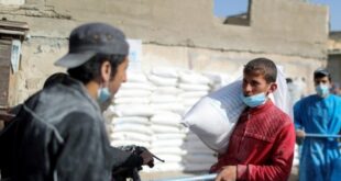 Bantuan Untuk Palestina 2025
