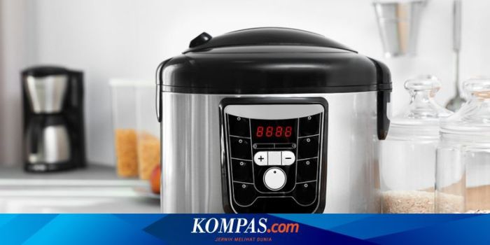 Cara Cek Bantuan Beras 2025
