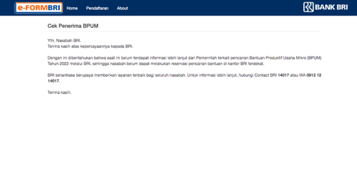 Cara Cek Bantuan Bri 2025