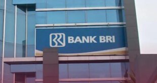 KUR 100 Jt BRI 2025