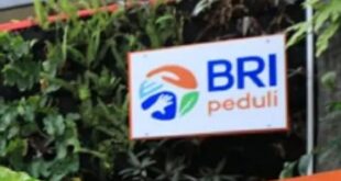 Bunga KUR BRI 2025 25 Juta