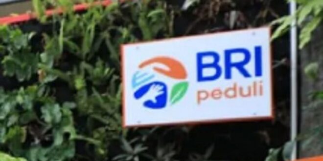 Bunga KUR BRI 2025 25 Juta