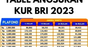 KUR BRI 2025 Desember