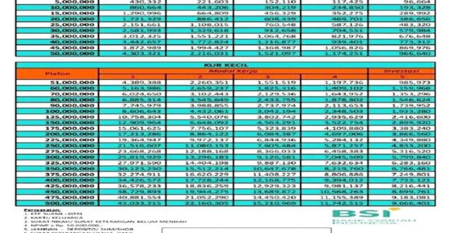 Tabel Pinjaman Non KUR Bsi 2025