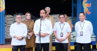 Cek Bantuan Beras Bulog 2025 Terbaru